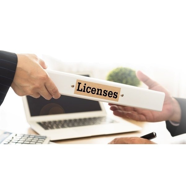 Company registration and licenses01