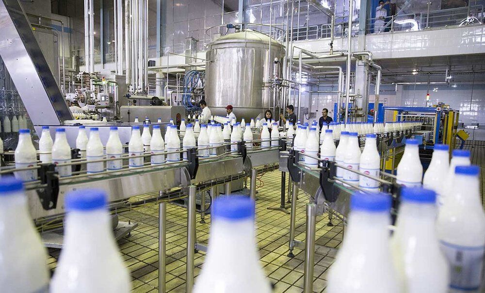 شیر و خامه، رکورددار صادرات لبنیات