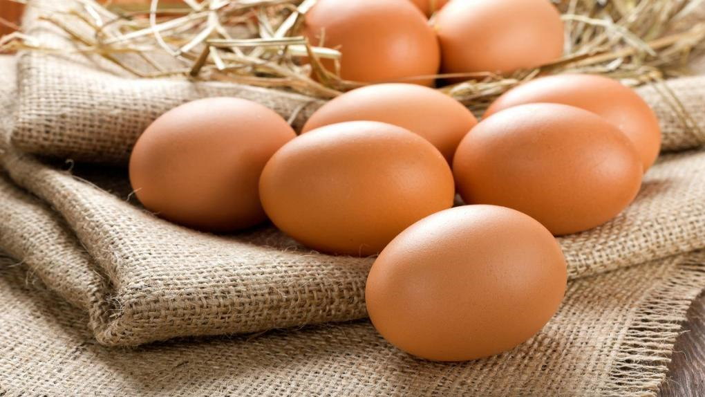 رتبه نهم در تولید تخم مرغ