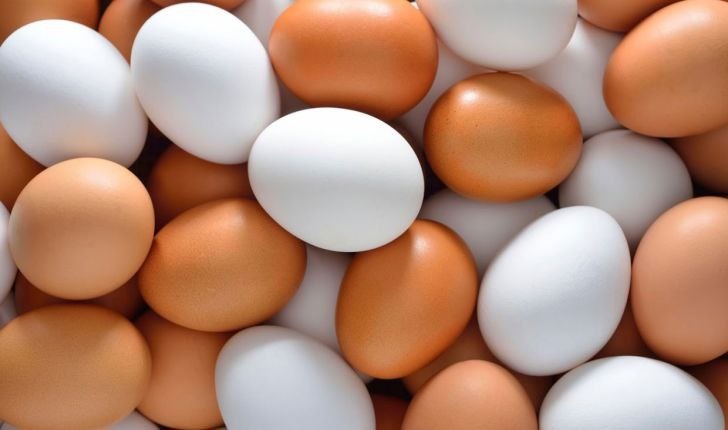 صادرات ۱۰۰ هزار تن تخم مرغ از کشور