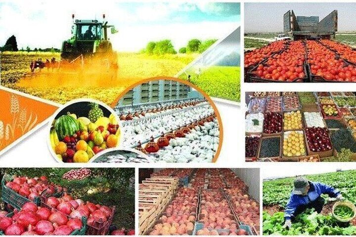 ۴۲ درصد صادرات ایران به اوراسیا محصولات غذایی و کشاورزی است