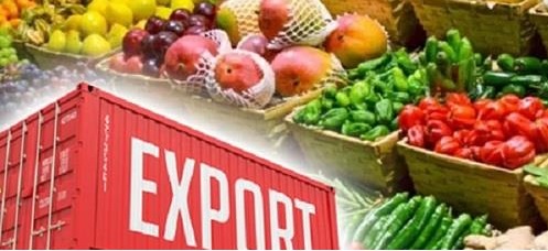 صادرات محصولات کشاورزی